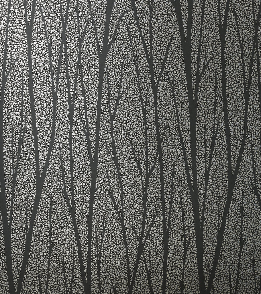 Malibu Birch Trail Wallpaper - Contemporary Botanical - Gunmetal & Charcoal | Malibu Wallpaper