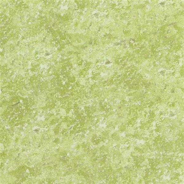 Botticino Italian Plaster Moss Wallpaper | Designers Guild Europe
