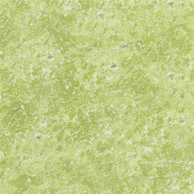 Botticino Italian Plaster Moss Wallpaper | Designers Guild Europe