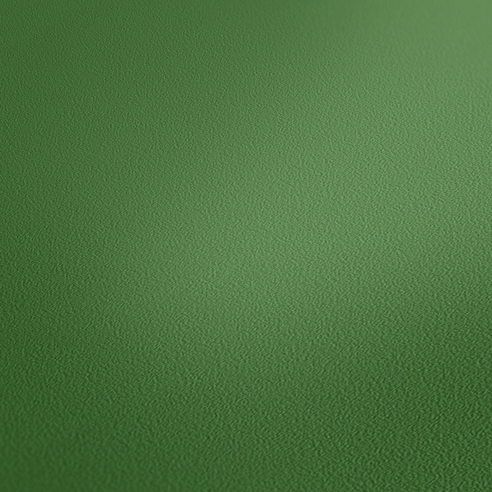 Ap Longlife Colours Green Wallcovering | AS Creation