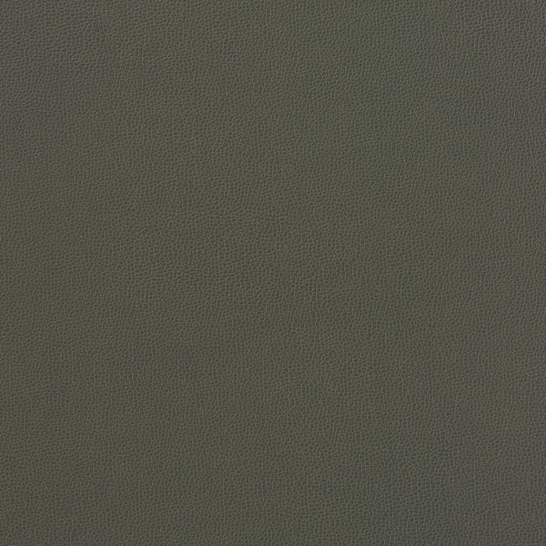 Carnegie Siltech Grain - Color 4