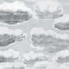 Clouds Grey