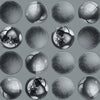 Sphere Grey