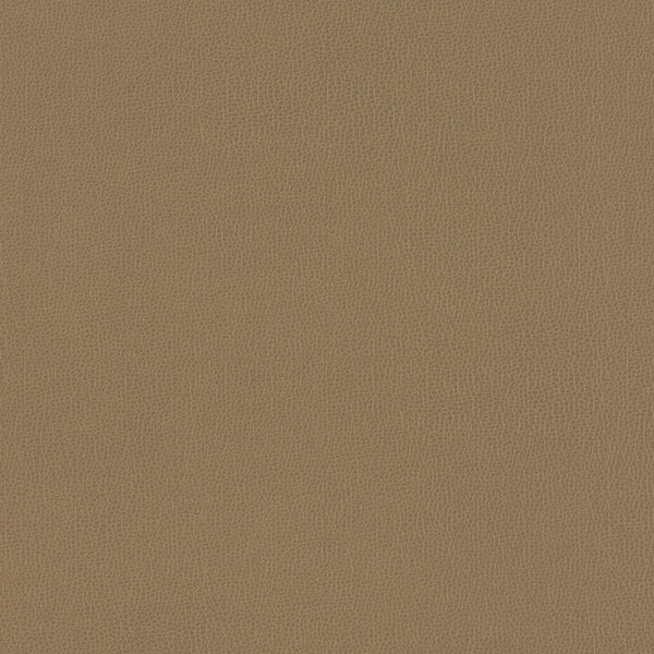 Carnegie Siltech Grain - Color 22