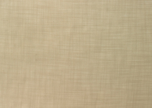 Carnegie Scherzo 405