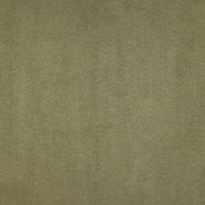 Samples and Purchasing available for Kravet Basics - 25717-303 Green By Kravet Basics | Perfect Plains |Solid  Multipurpose Vinyl/Faux Leather at Designer Wallcoverings and Fabrics