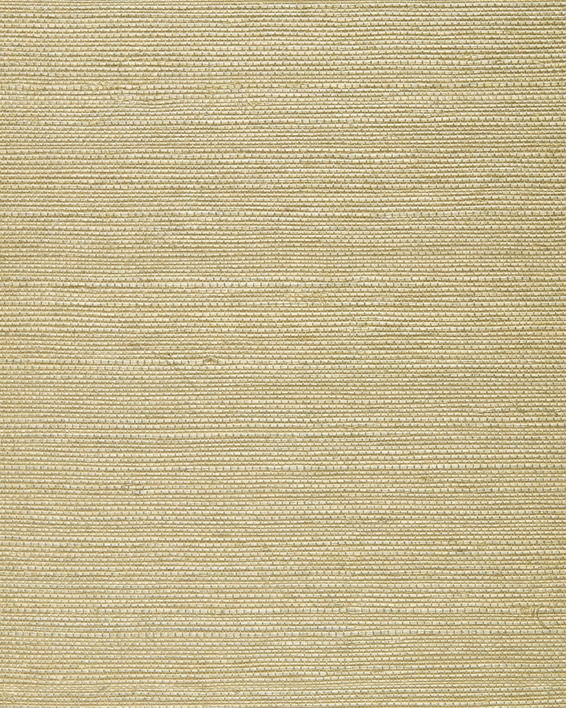 DWPW-430005 Wallcovering by Phillipe Romano