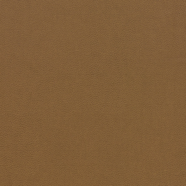 Carnegie Siltech Grain - Color 24
