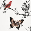 Birds &amp; Butterflies - Multi On White Wallpapers