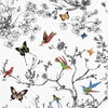 Birds &amp; Butterflies - Multi On White Wallpapers