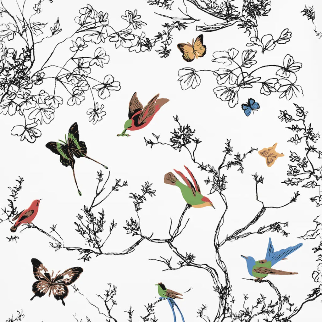 Birds &amp; Butterflies - Multi On White Wallpapers