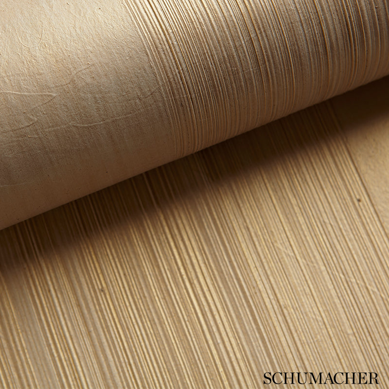 Casual Brush, Ivory