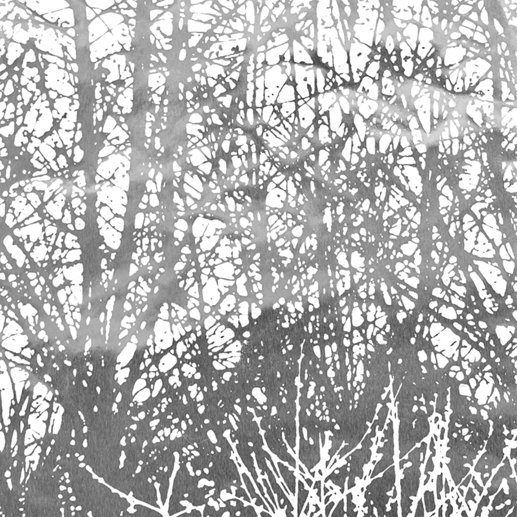 Birches - Silver Wallpapers