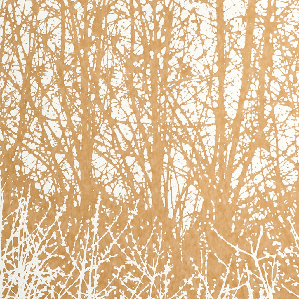 Birches - Tan Wallpapers