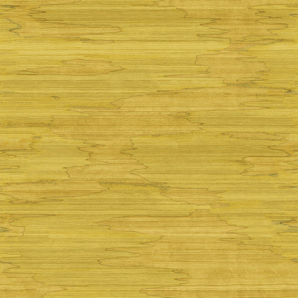 Nami Curry | Hohenberger Wallcovering