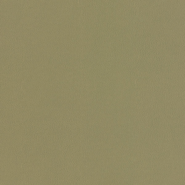 Carnegie Siltech Grain - Color 10