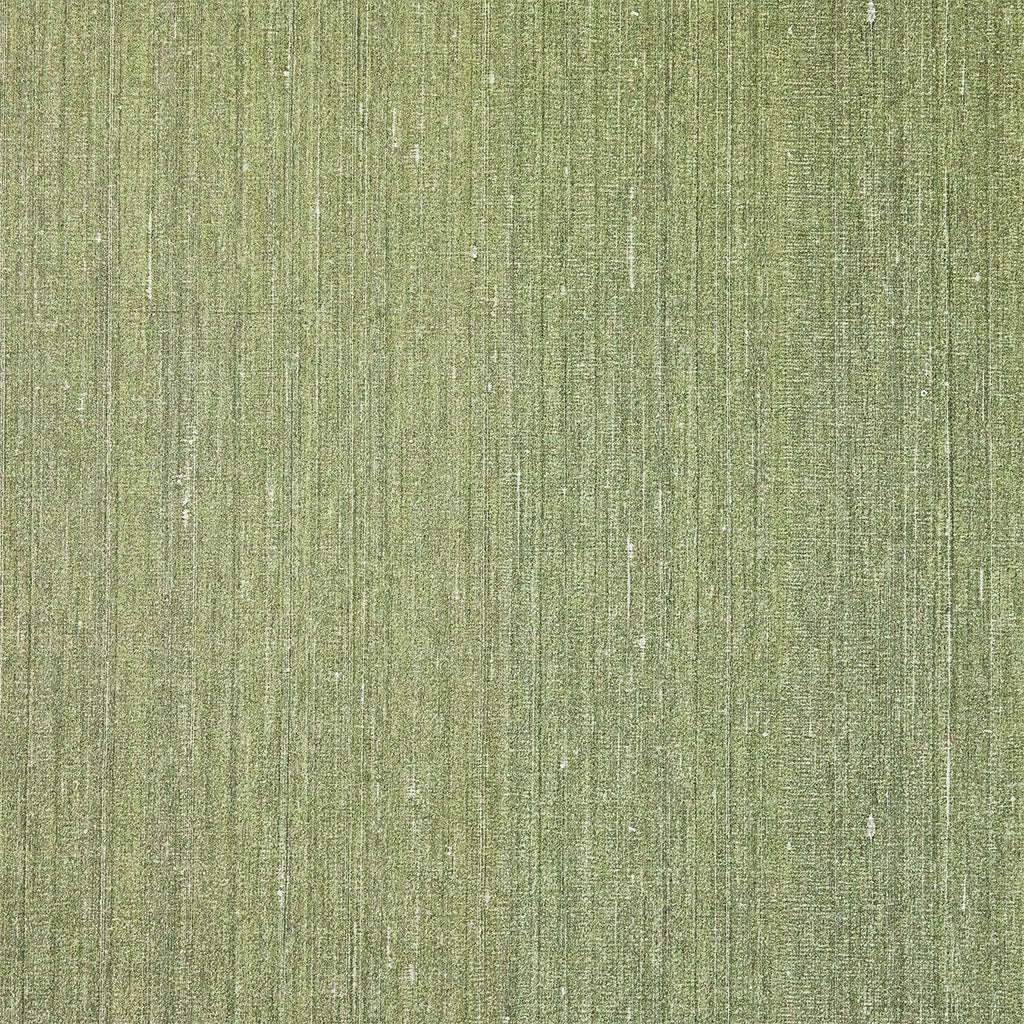 Shinjo Avocado