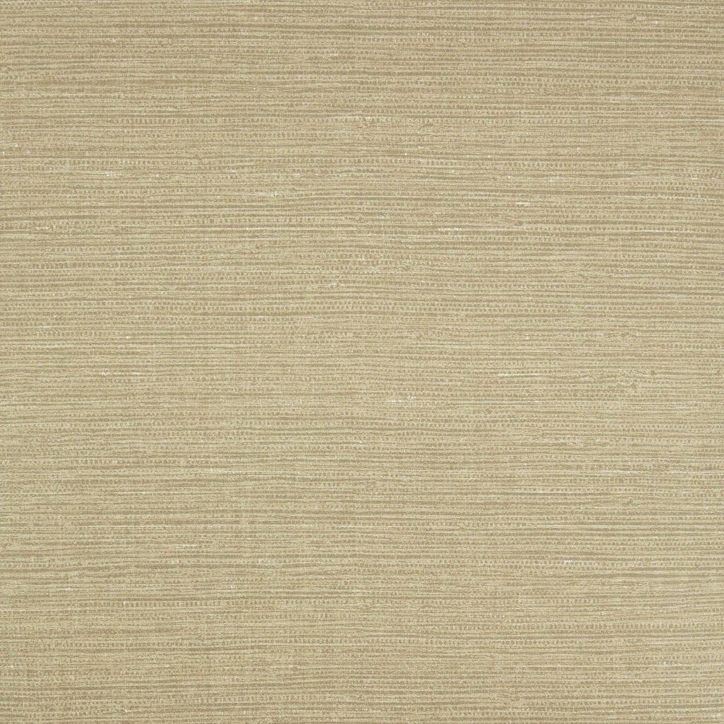 Grasscloth Ajowan