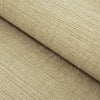 Grasscloth Ajowan