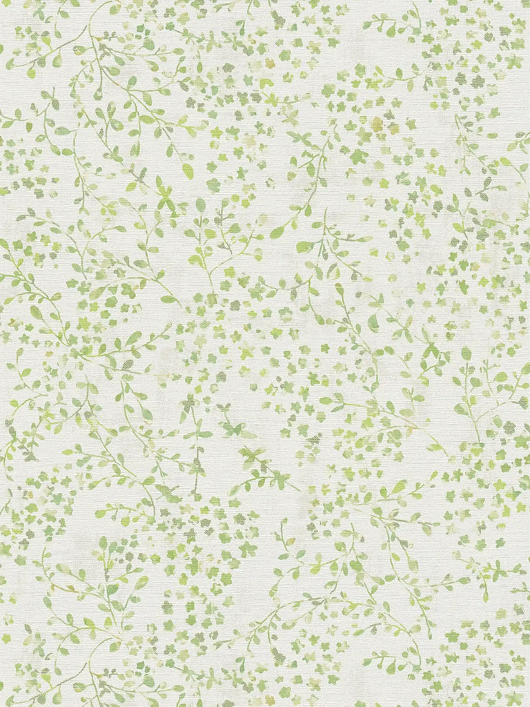 Pintwalls Ii Pale Beige Wallcovering | AS Creation