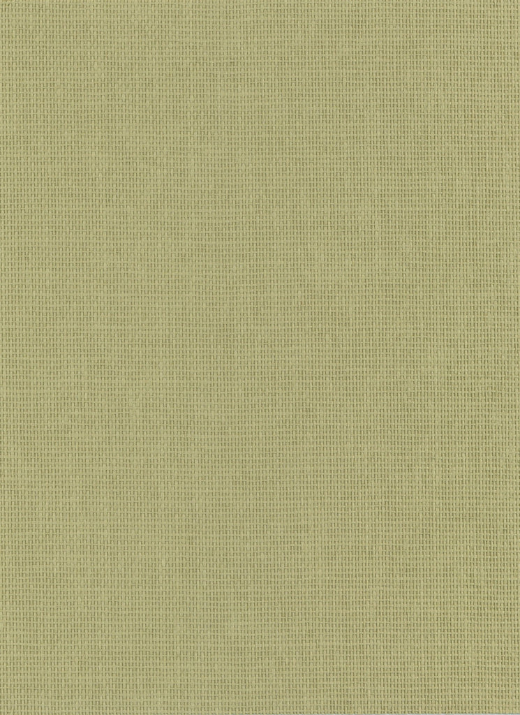 Rowayton-Grass Green Paper Weave Wallcovering | Phillipe Romano — PWV-500270