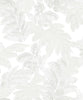 Palma White