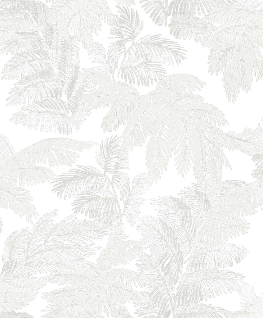 Palma White
