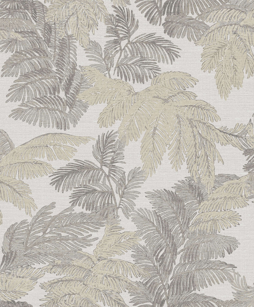 Palma Grey