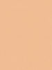 Jungle Chic Orange Wallcovering | AS Creation