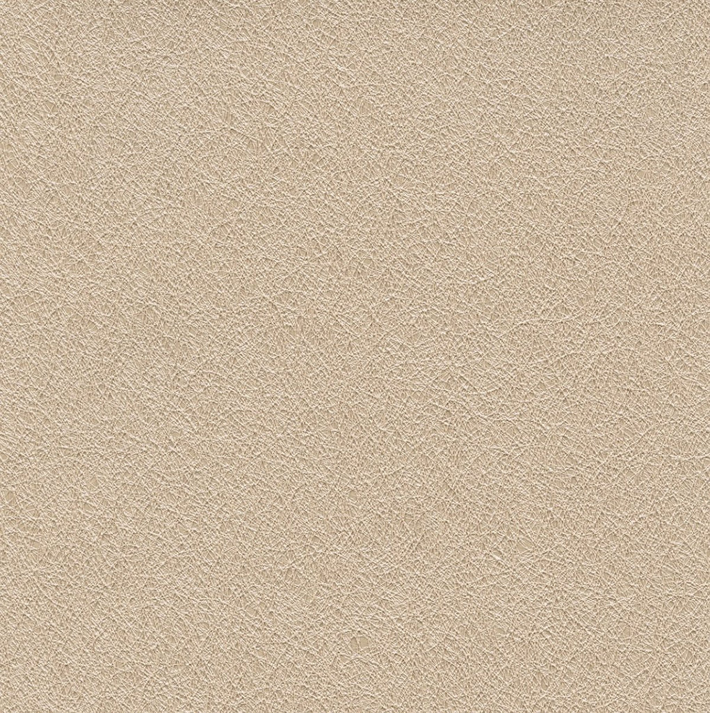 Destiny Seashell  Wallpaper (2D21-40) | Koroseal Type 2 Vinyl | Koroseal