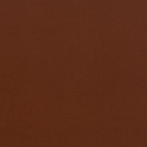 Carnegie Siltech Grain - Color 15