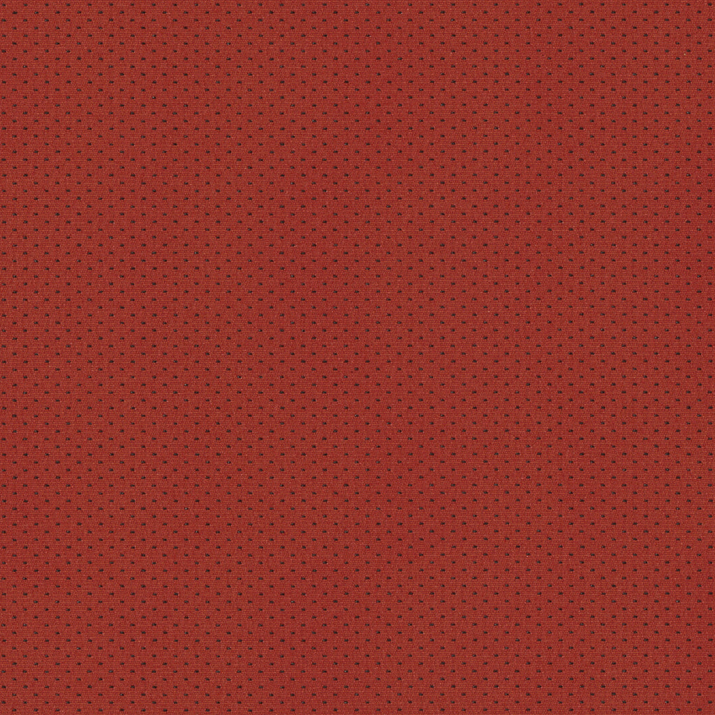 Pepper, Burnt Sienna