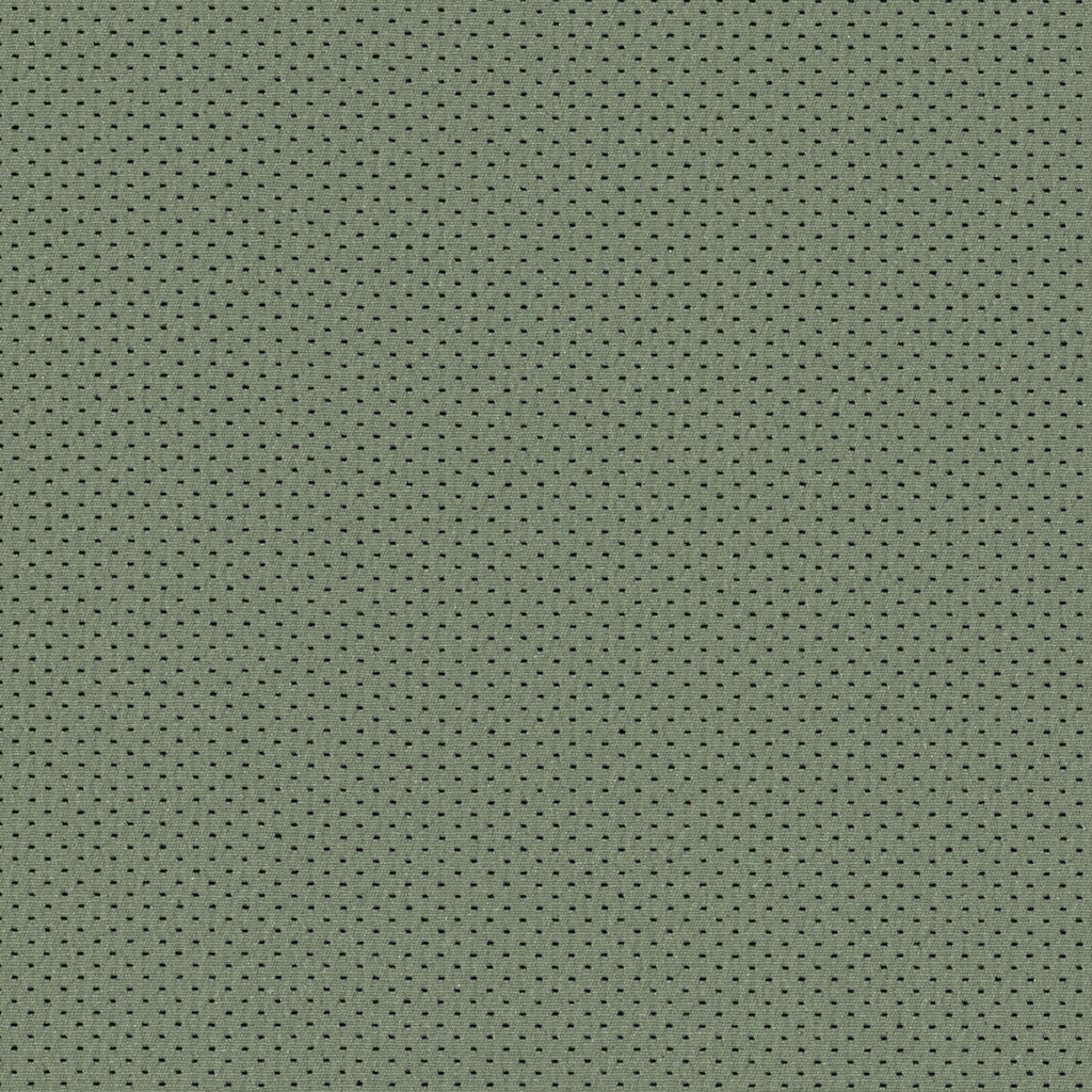 Pepper, Sage Green