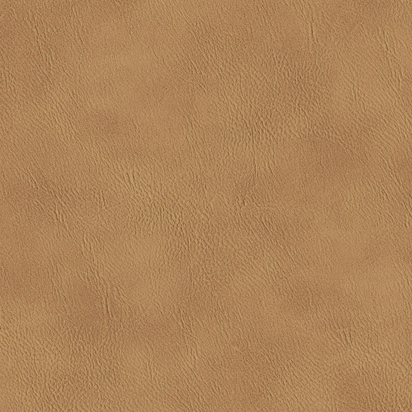 Rein, Camel Wallcoverings | Designtex