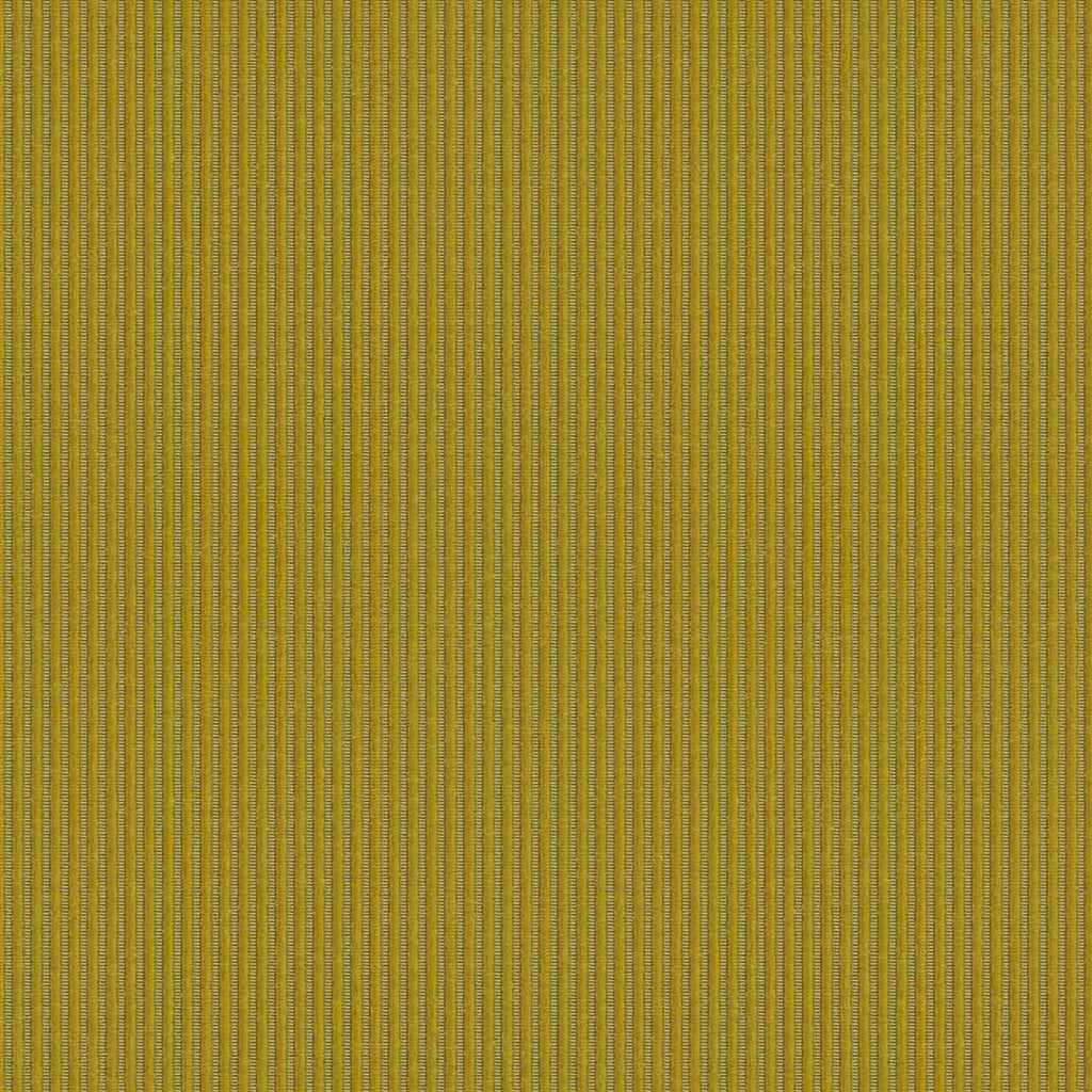 Velvet Corduroy, Sunny