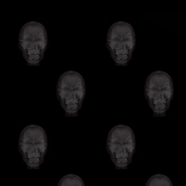 Skull Xray - Light Grey Matter on Black - Pattern Design Lab Wallcovering | DW Bespoke Studios