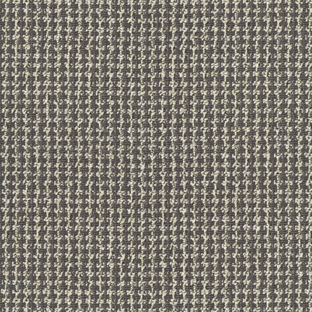 Boucle Houndstooth, Mollusk