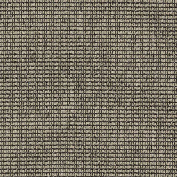 Sidetrack, Birch Wallcoverings | Designtex