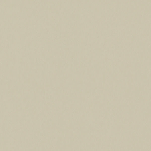 Silicone Level, Beige Wallcoverings | Designtex