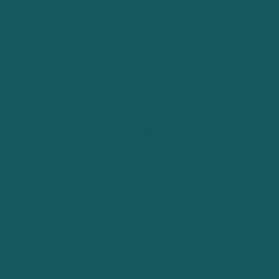 Silicone Level, Teal