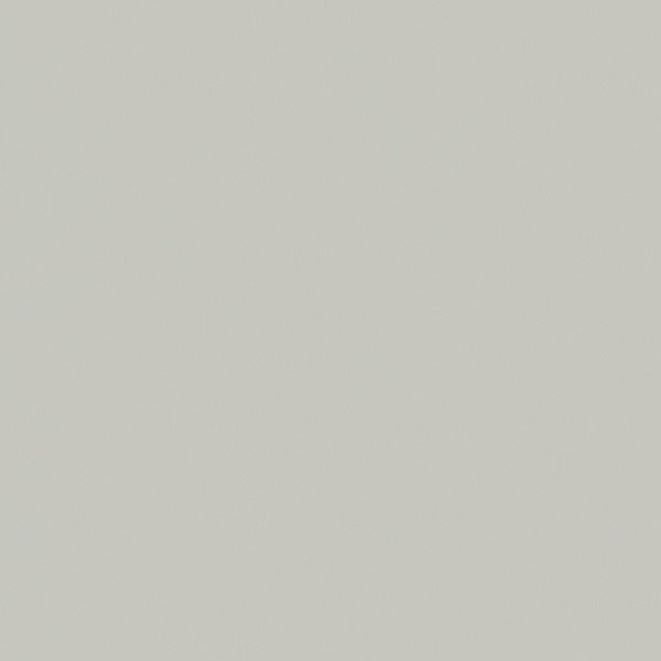 Silicone Level, Light Gray Wallcoverings | Designtex