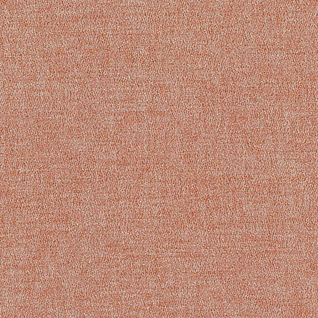 Overtone, Salmon