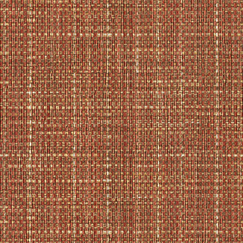 Wayside, Coral Orange