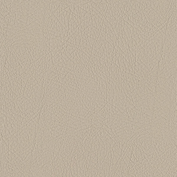 Tour, Roam Wallcoverings | Designtex
