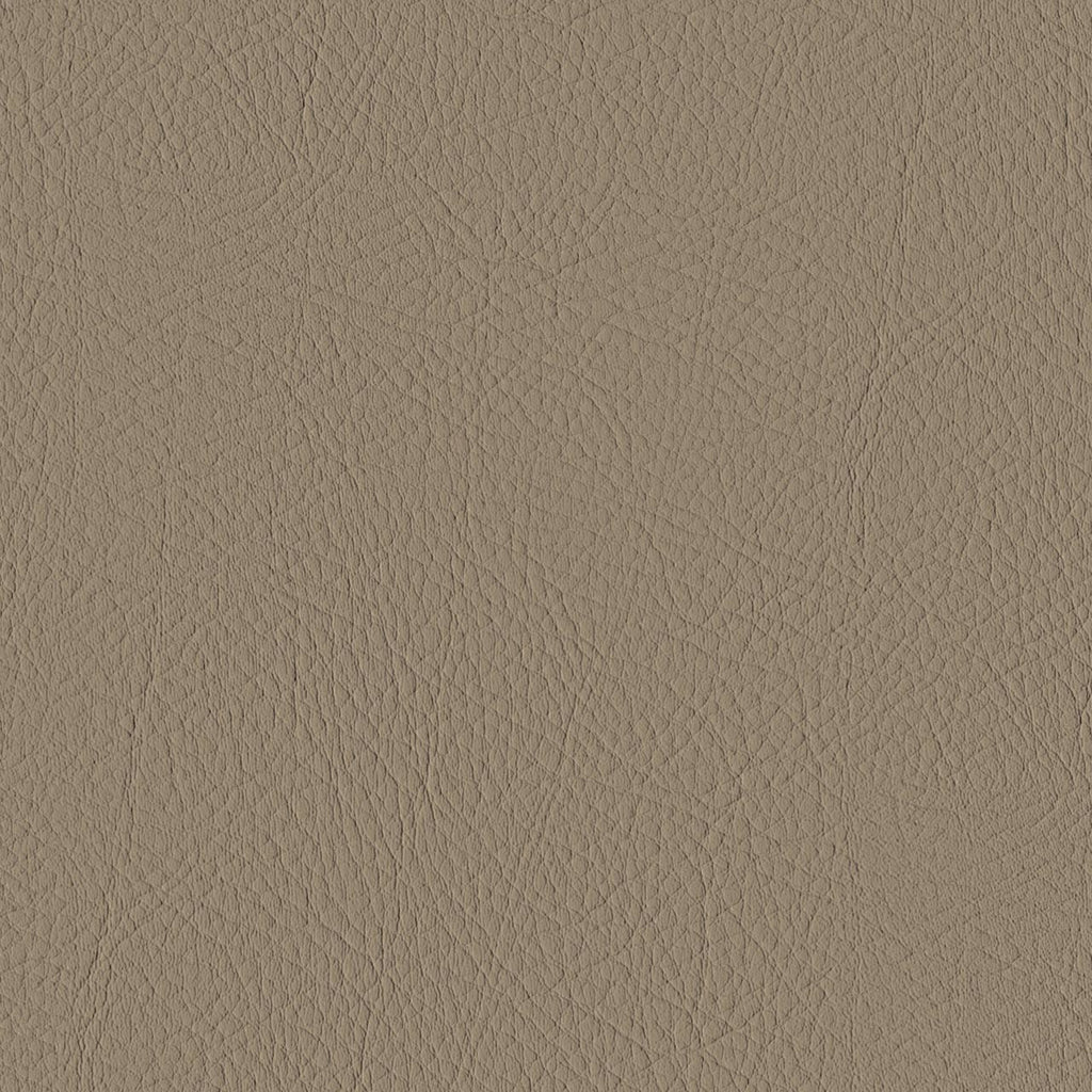 Tour, Taupe