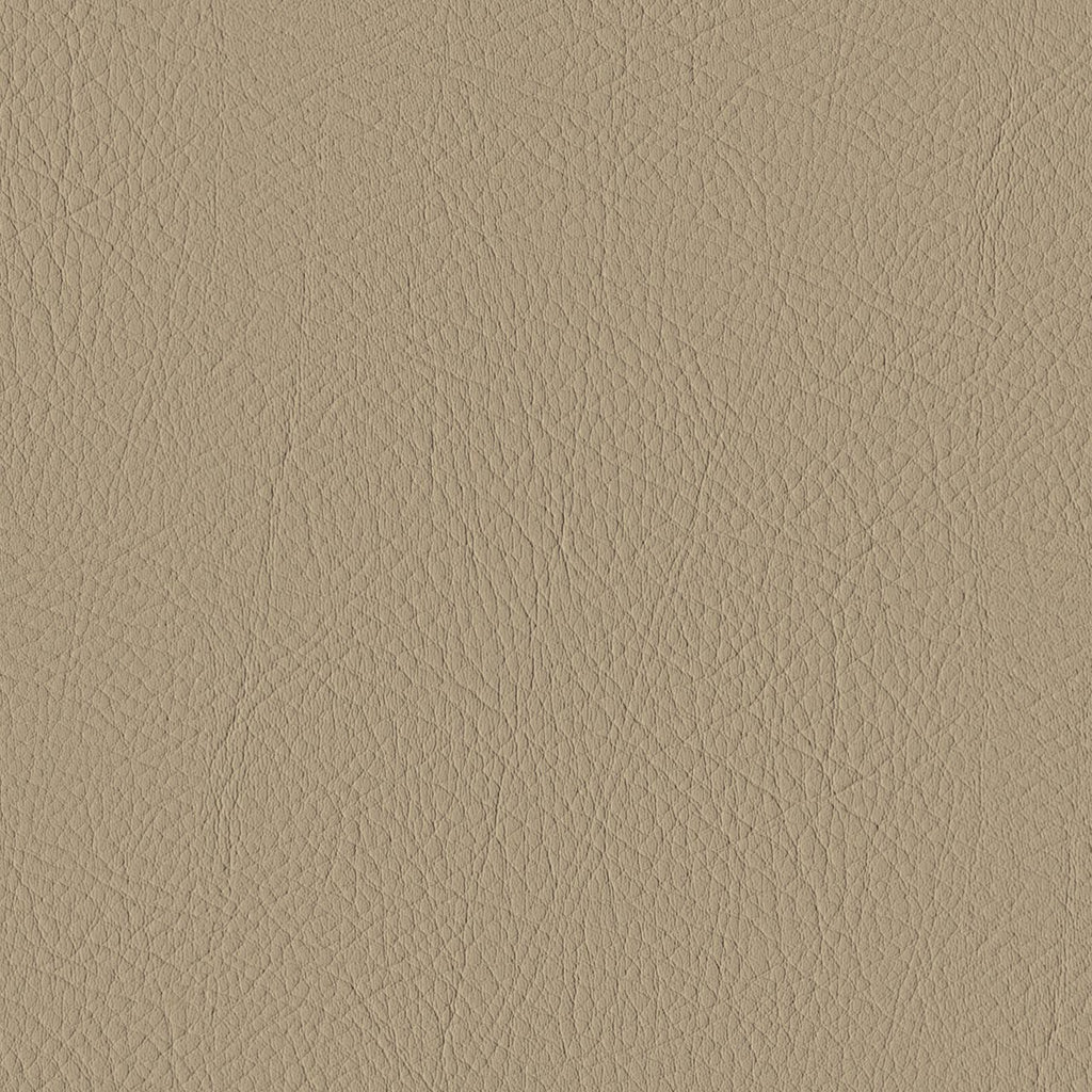 Tour, Beige