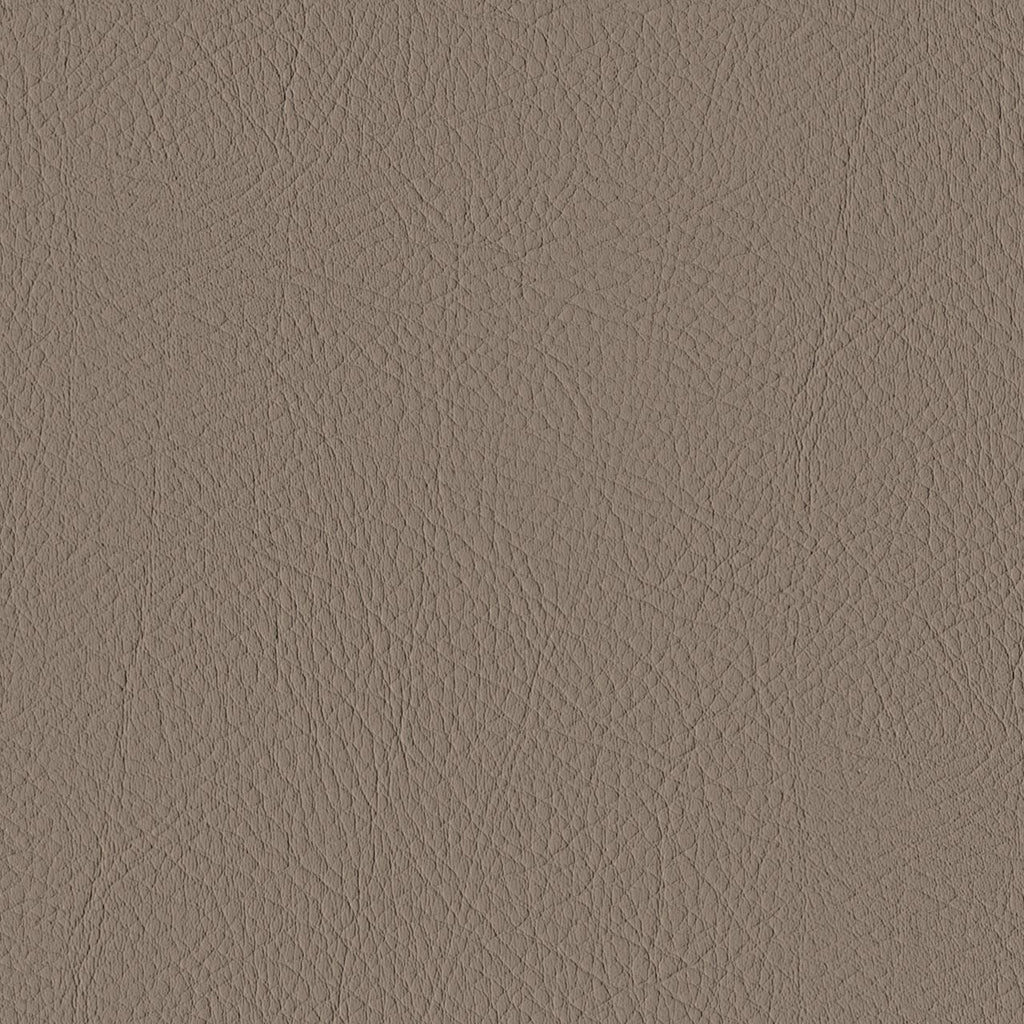 Tour, Taupe