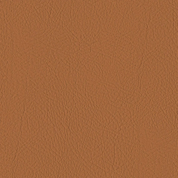Tour, Camel Wallcoverings | Designtex