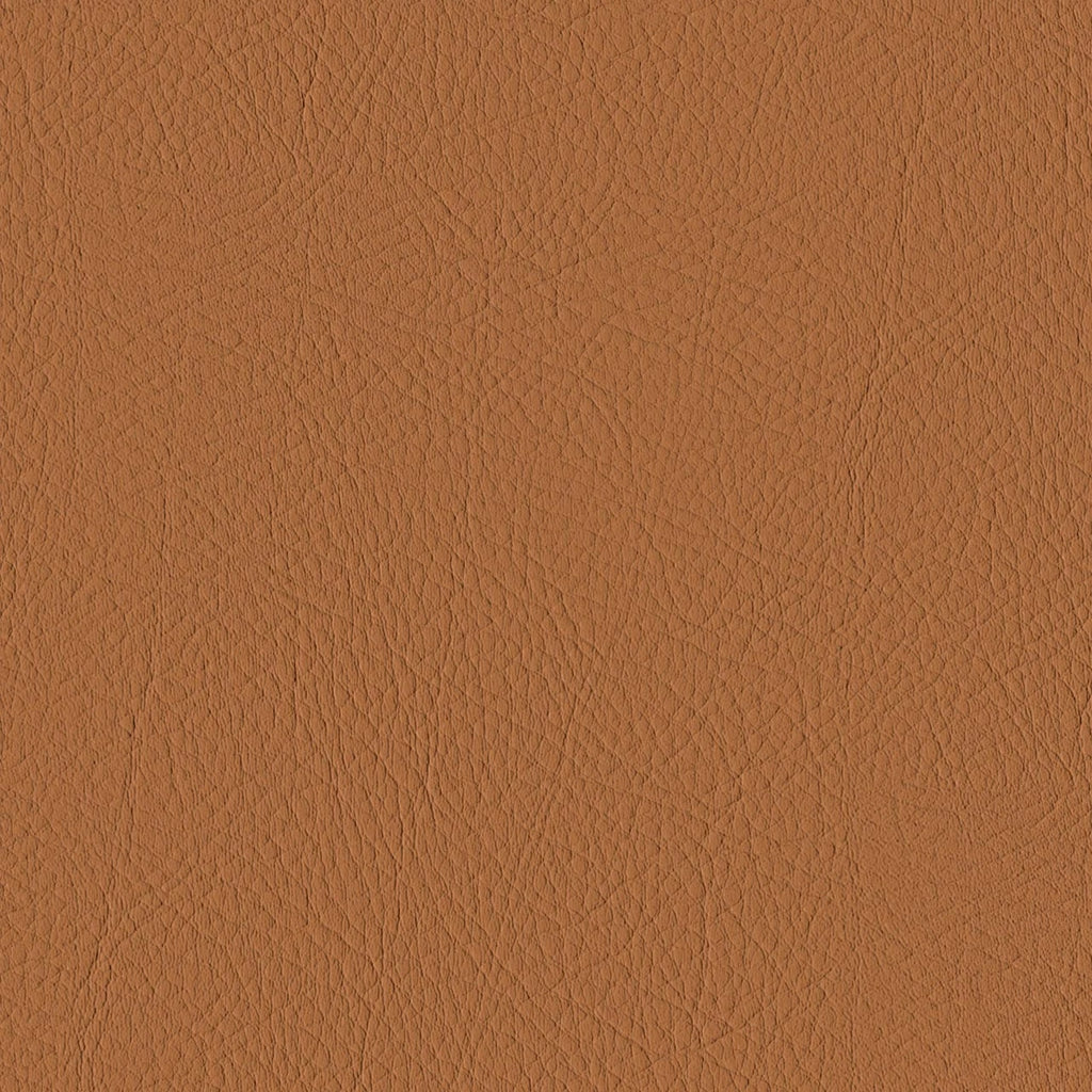 Tour, Camel