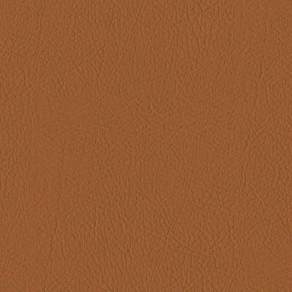 Tour, Burnt Sienna Wallcoverings | Designtex